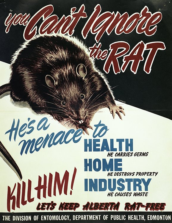 Vintage public health poster warning about the dangers of rats, featuring a prominent image of a rat and text urging people to eliminate them for health and property safety.